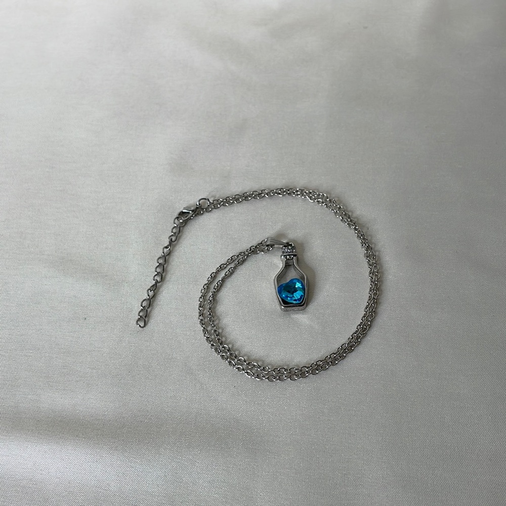 Heart in bottle necklace